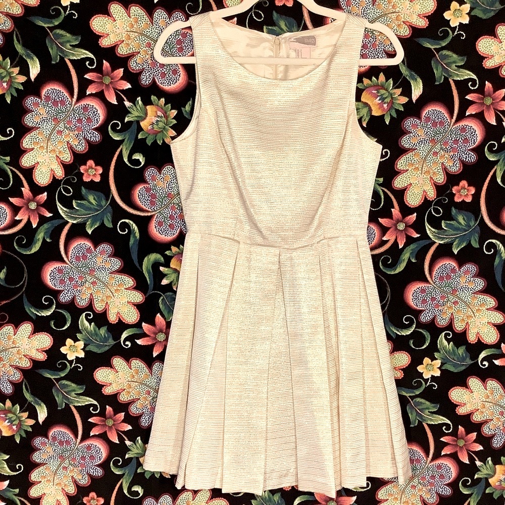 Retro Shimmery Pleated Party Dress